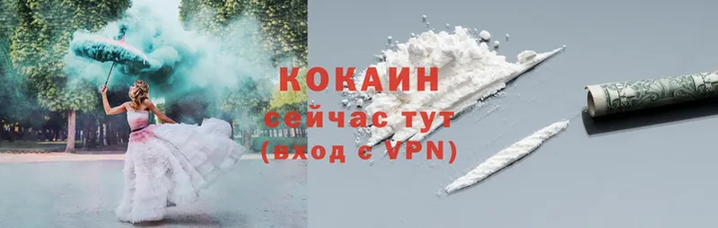 Cocaine Fish Scale  Соликамск 