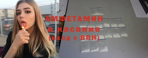 сатива Богданович