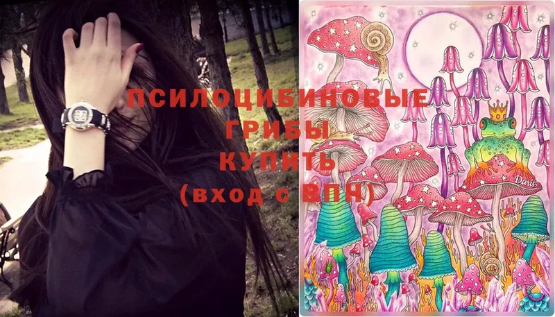 Псилоцибиновые грибы MAGIC MUSHROOMS  купить  цена  Соликамск 